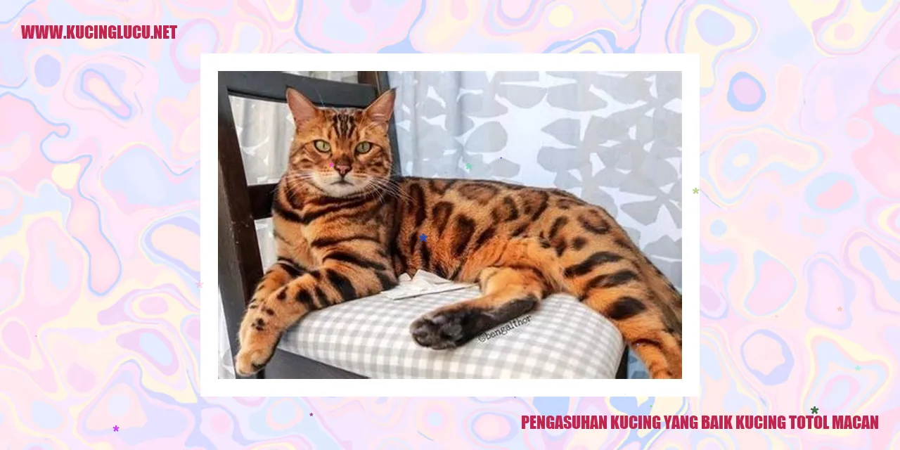 Kucing totol macan yang sehat dan bahagia