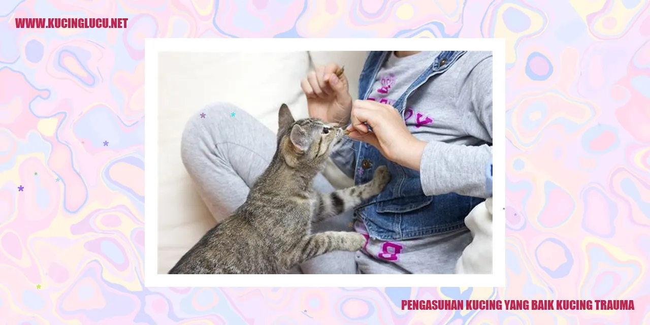 Kucing menggemaskan