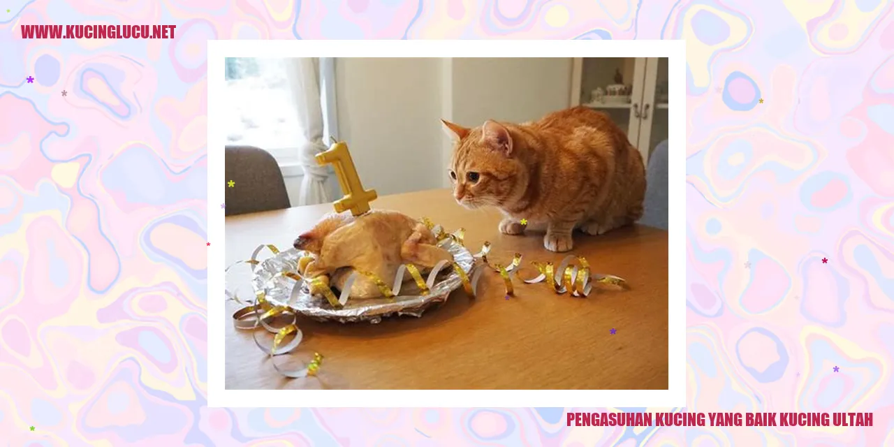 Pengasuhan Kucing yang Baik
