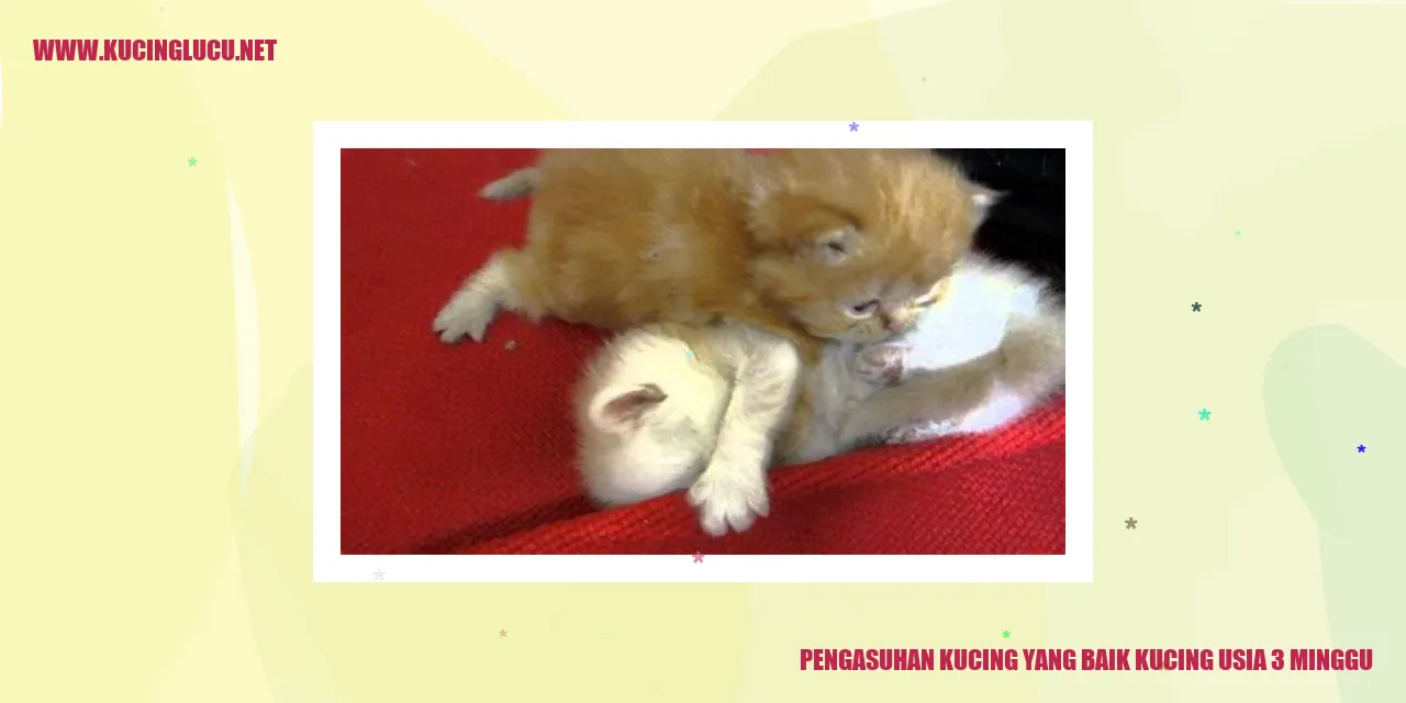 Gambar Kucing Bersama Anaknya