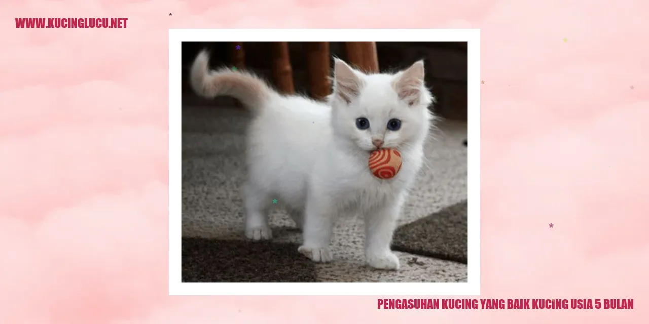 Gambar kucing imut