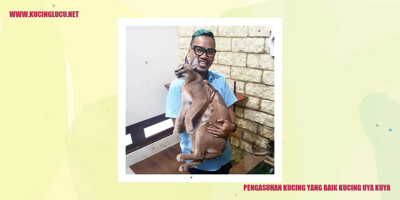 Kucing yang Sehat dan Ceria