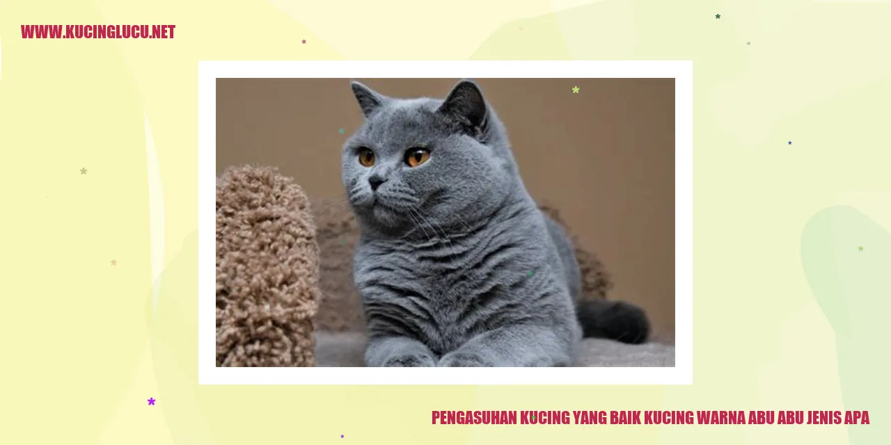 Kucing Warna Abu-abu