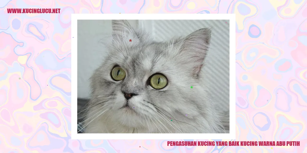 Kucing warna abu putih