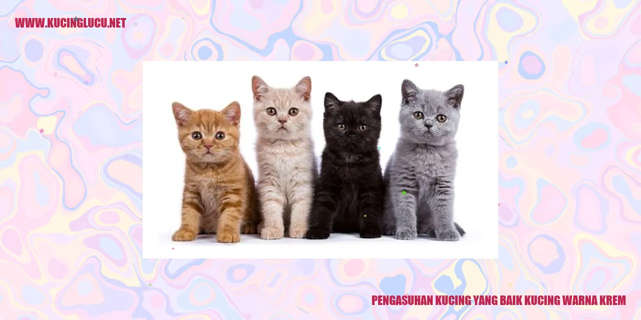Kucing Berwarna Krem