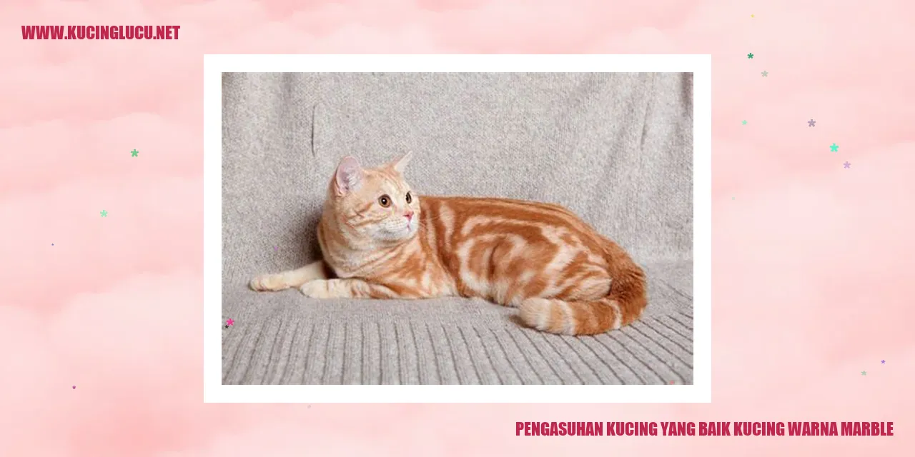 Kucing Warna Marble