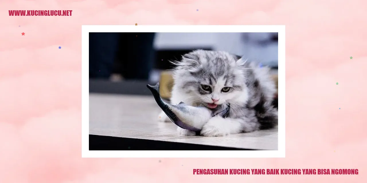 Pengasuhan Kucing yang Baik