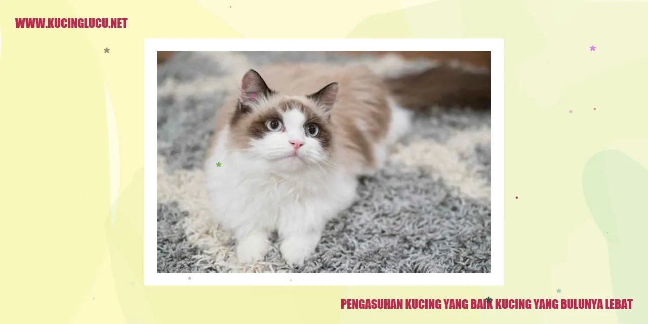 Kucing dengan Bulu Lebat