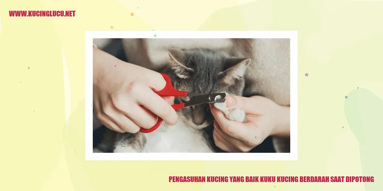 Kucing dengan Kuku yang Sehat