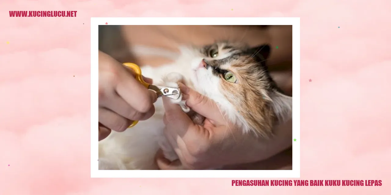Pengasuhan Kucing yang Baik