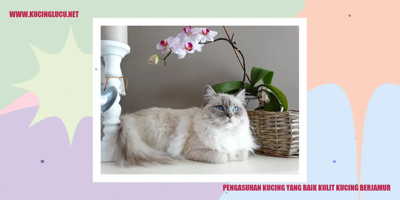 Kucing Sehat