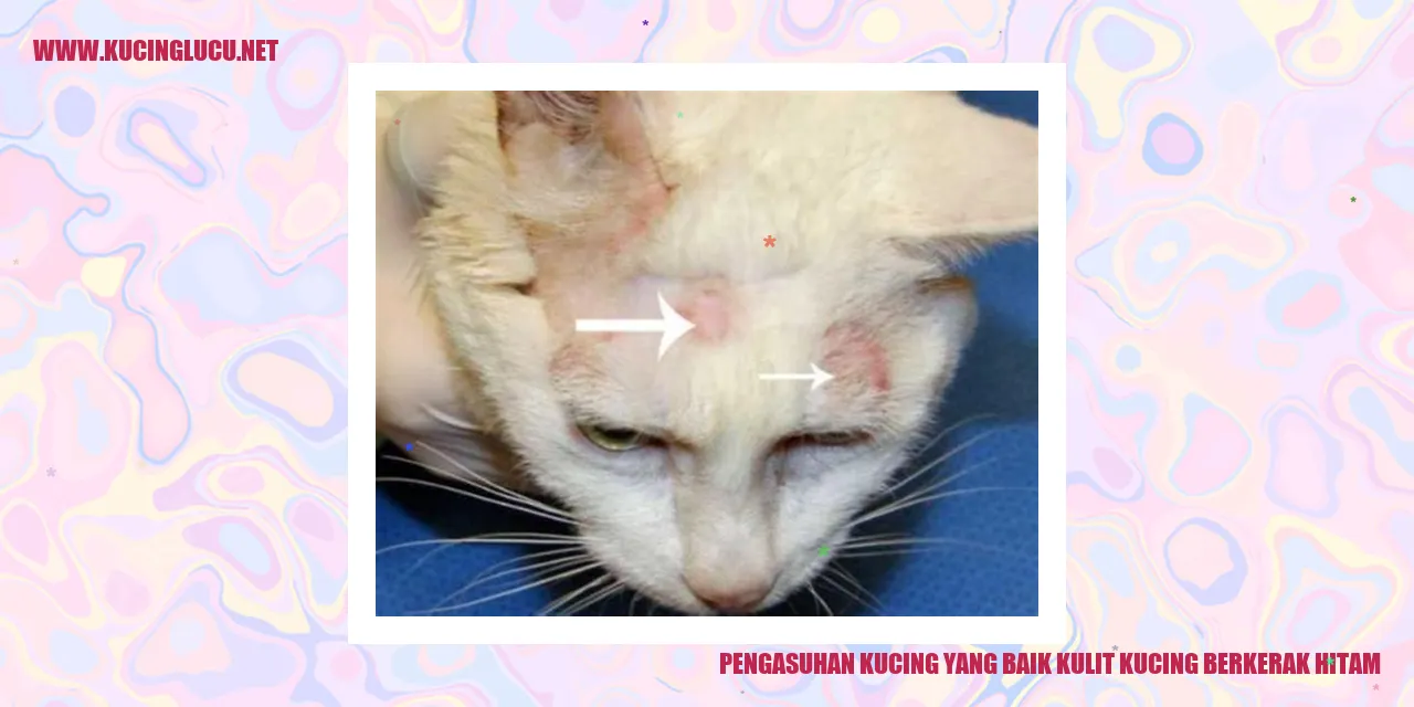 Kucing dengan kulit berkerak hitam