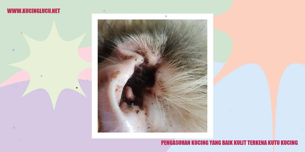 Ilustrasi Kucing yang Terkena Kutu Kucing