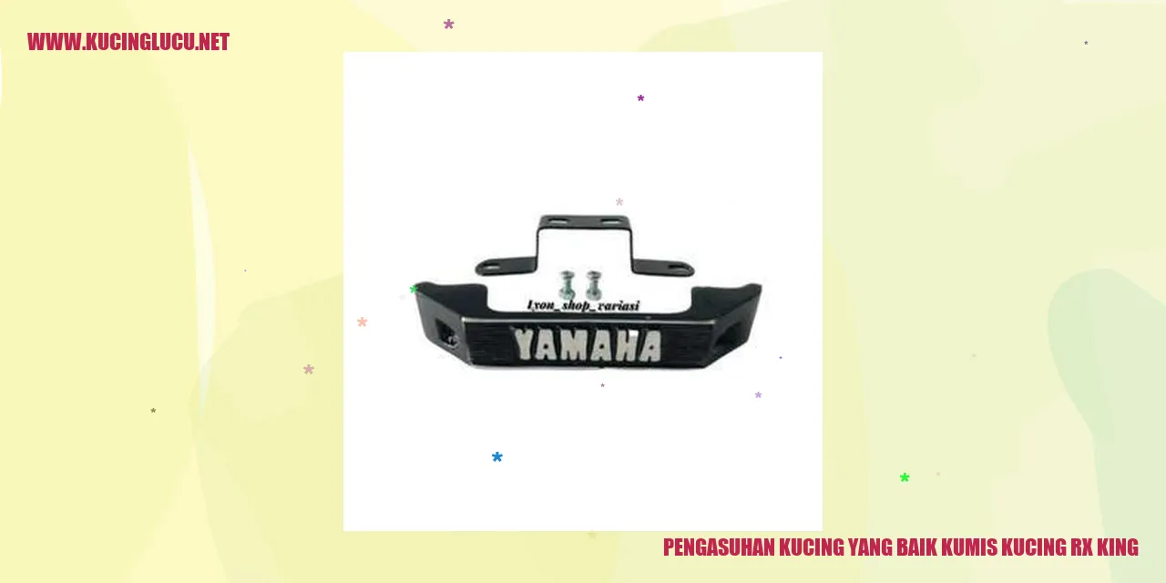 Kucing Kesayangan