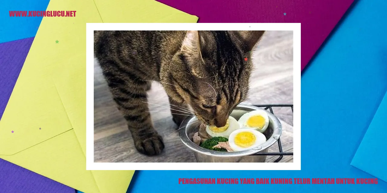 Pengasuhan Kucing yang Baik kuning telur mentah untuk kucing