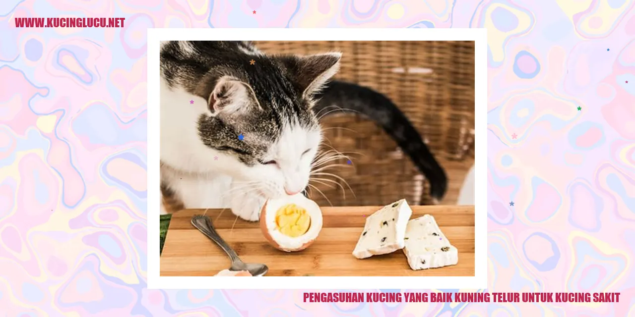 Pengasuhan Kucing yang Baik kuning telur untuk kucing sakit
