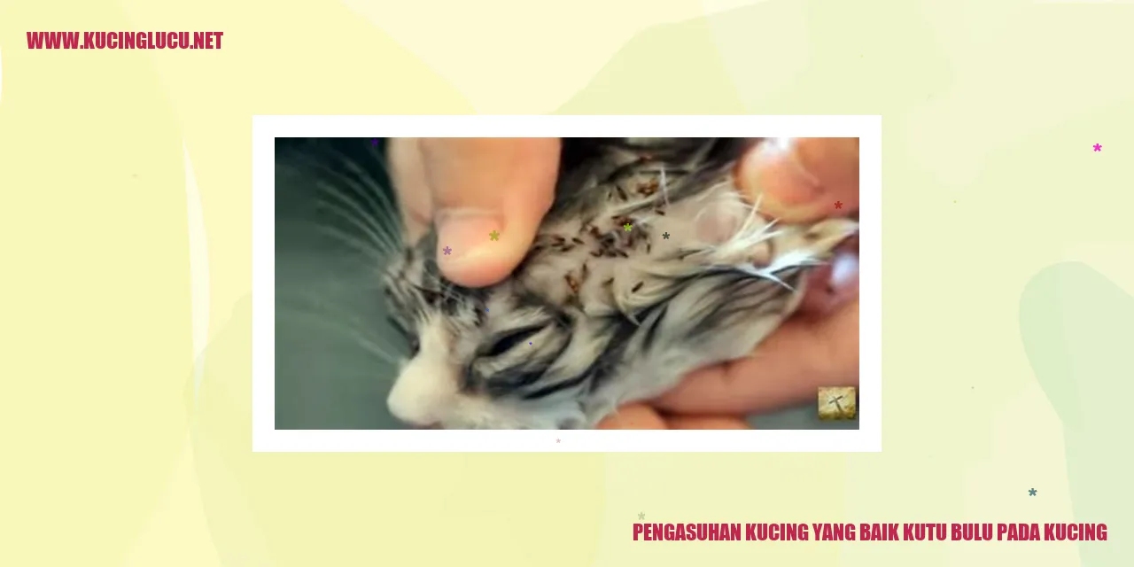 Kucing manja