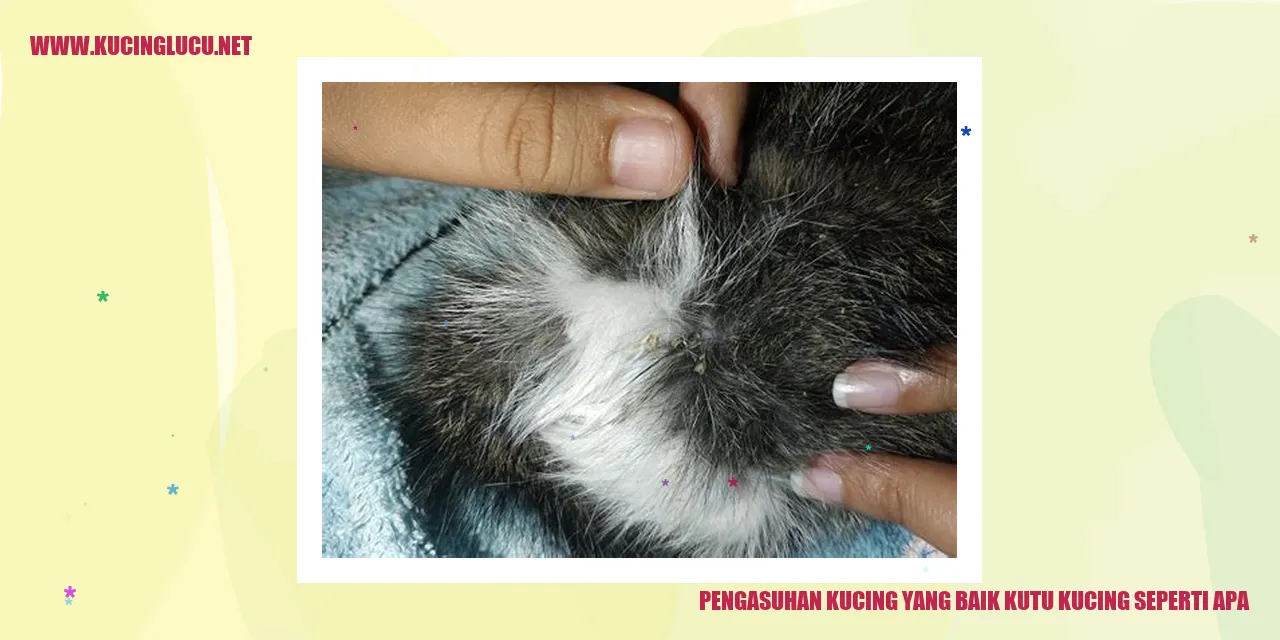 Kucing dengan kutu