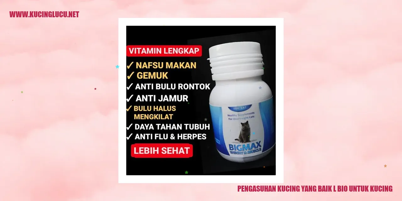 Pengasuhan Kucing yang Baik
