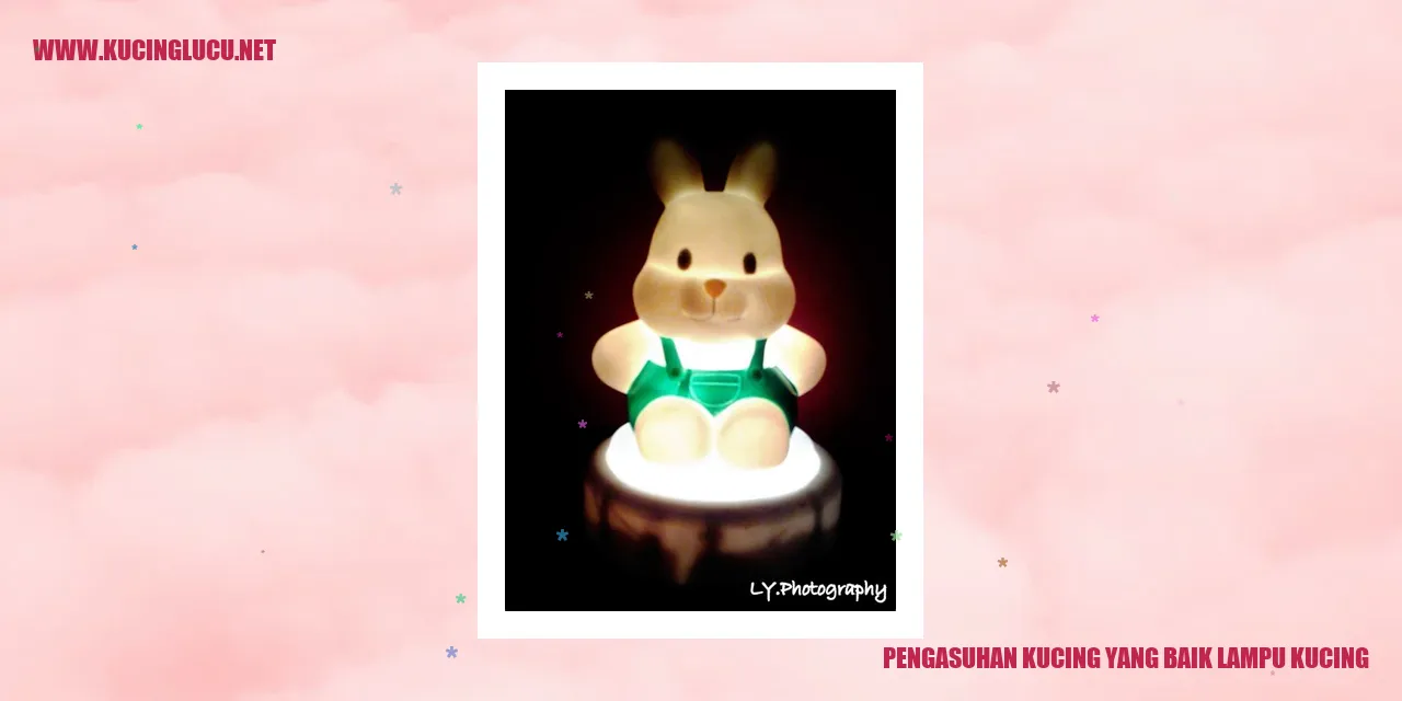 Gambar Kucing Bahagia