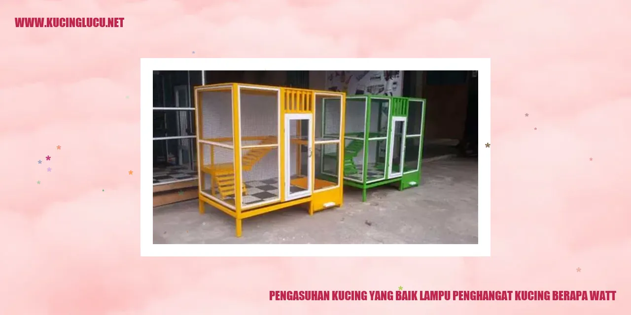 Kucing hangat lampu