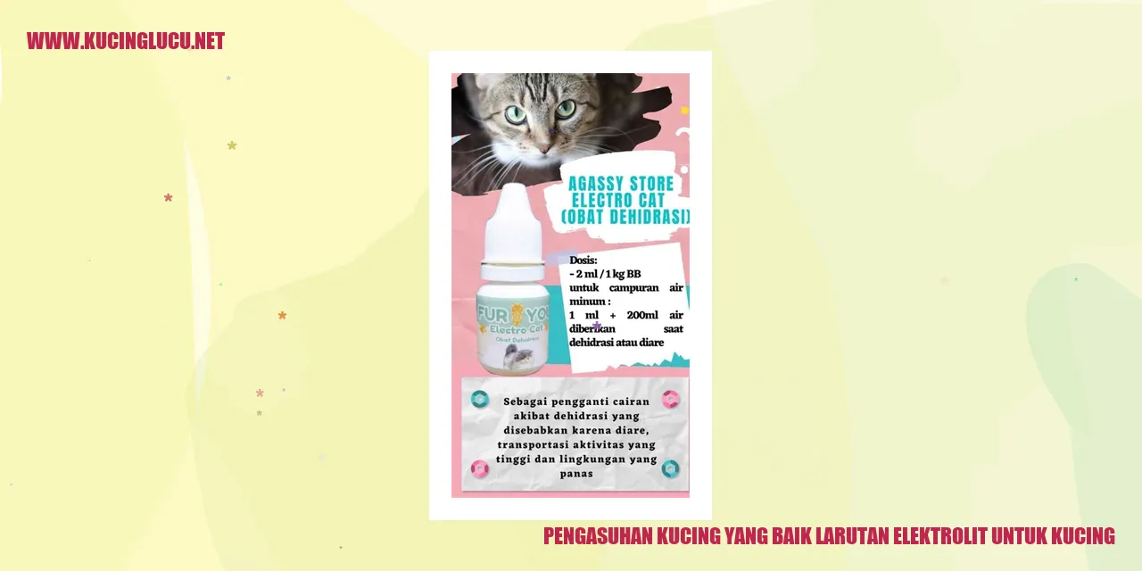 Pengasuhan Kucing yang Baik