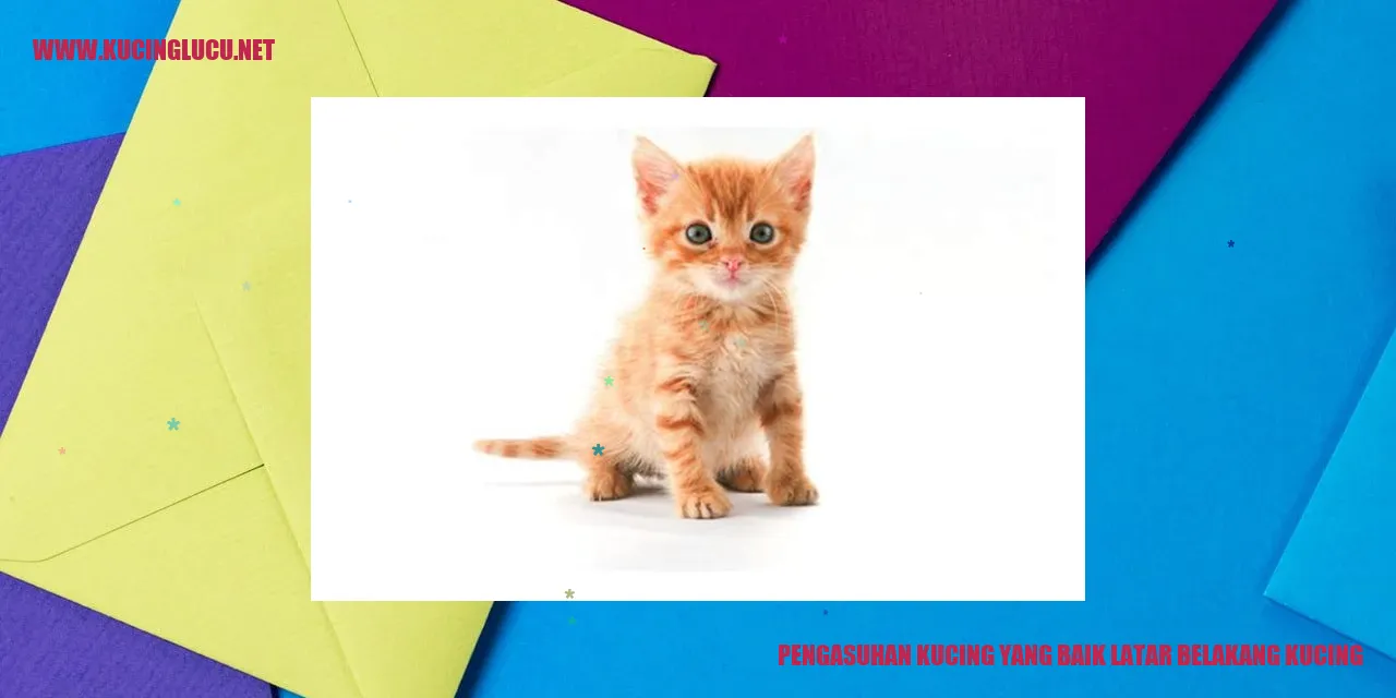 Pengasuhan Kucing yang Baik