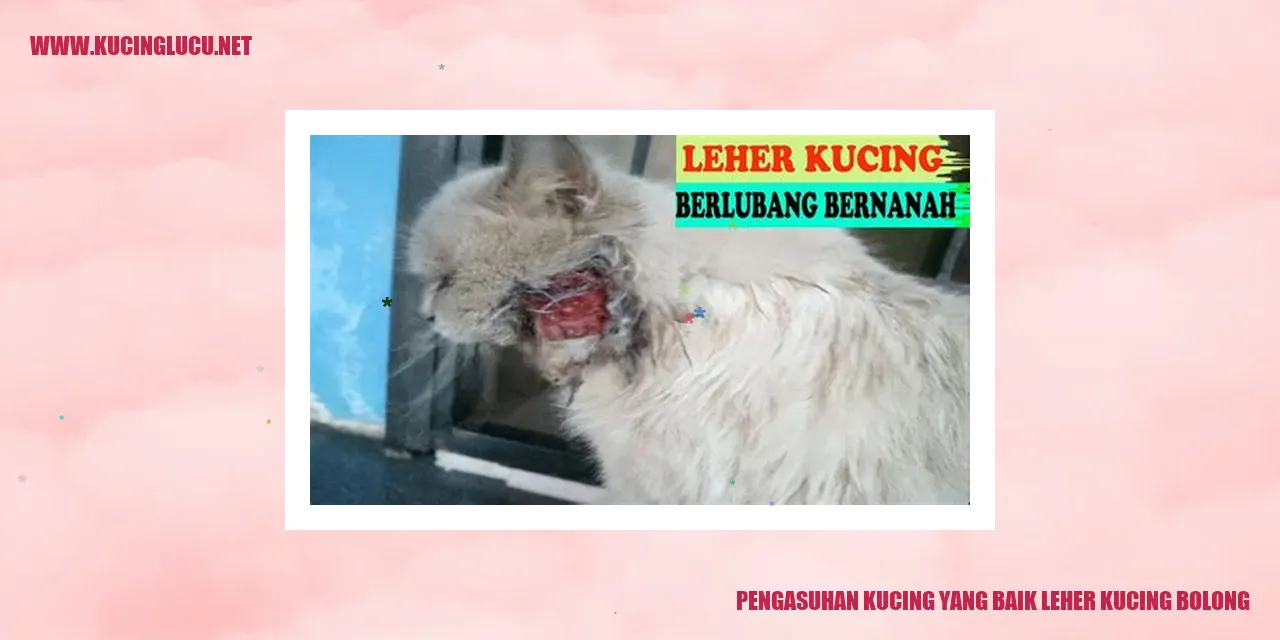 Kucing menggemaskan