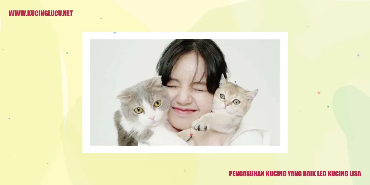 Gambar kucing bahagia