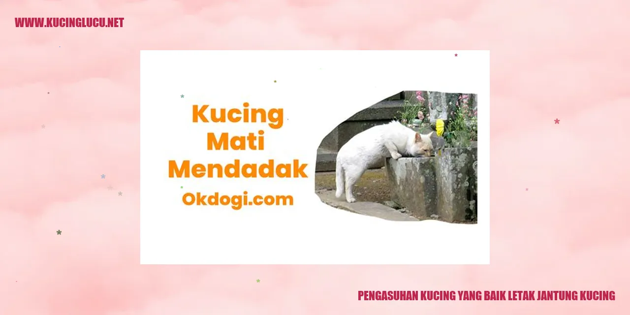 Ilustrasi Kucing