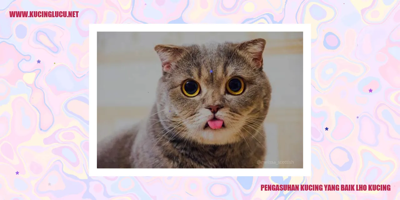 Kucing yang Bahagia