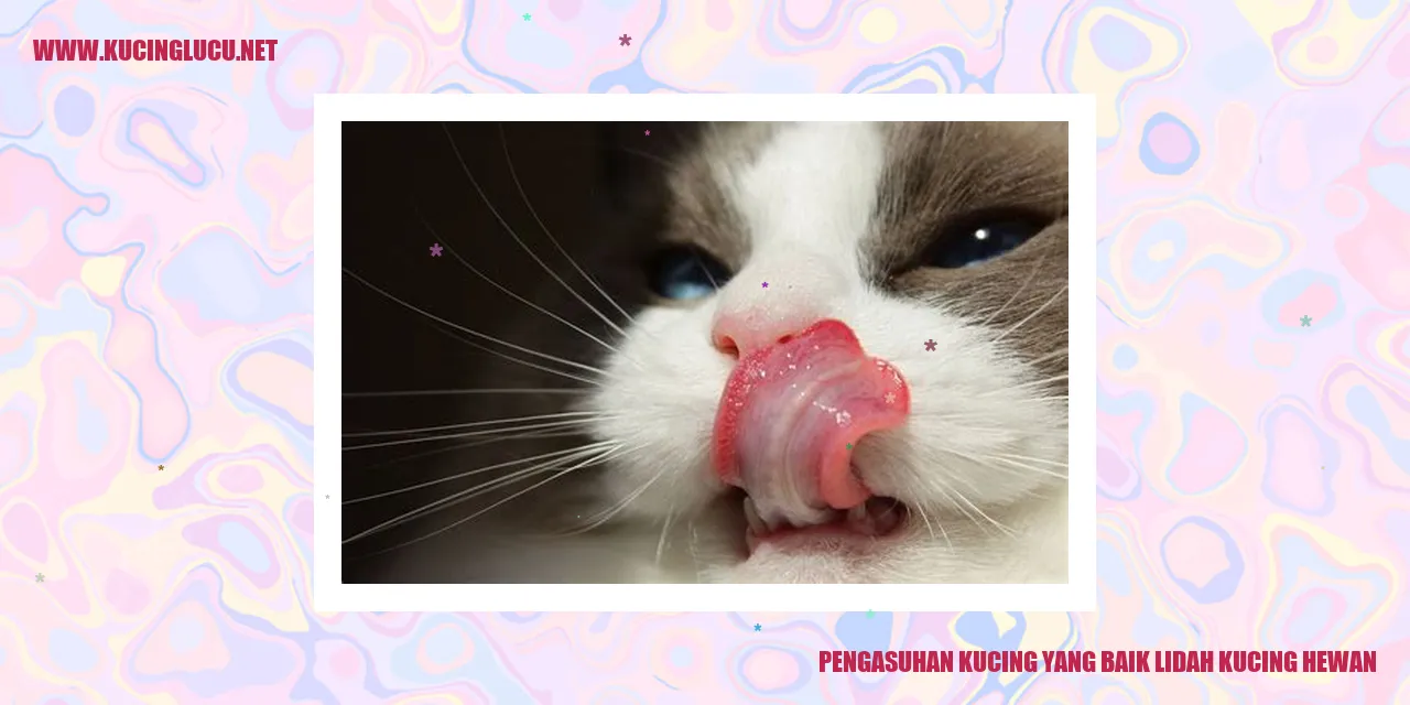 Foto Kucing yang Menggemaskan