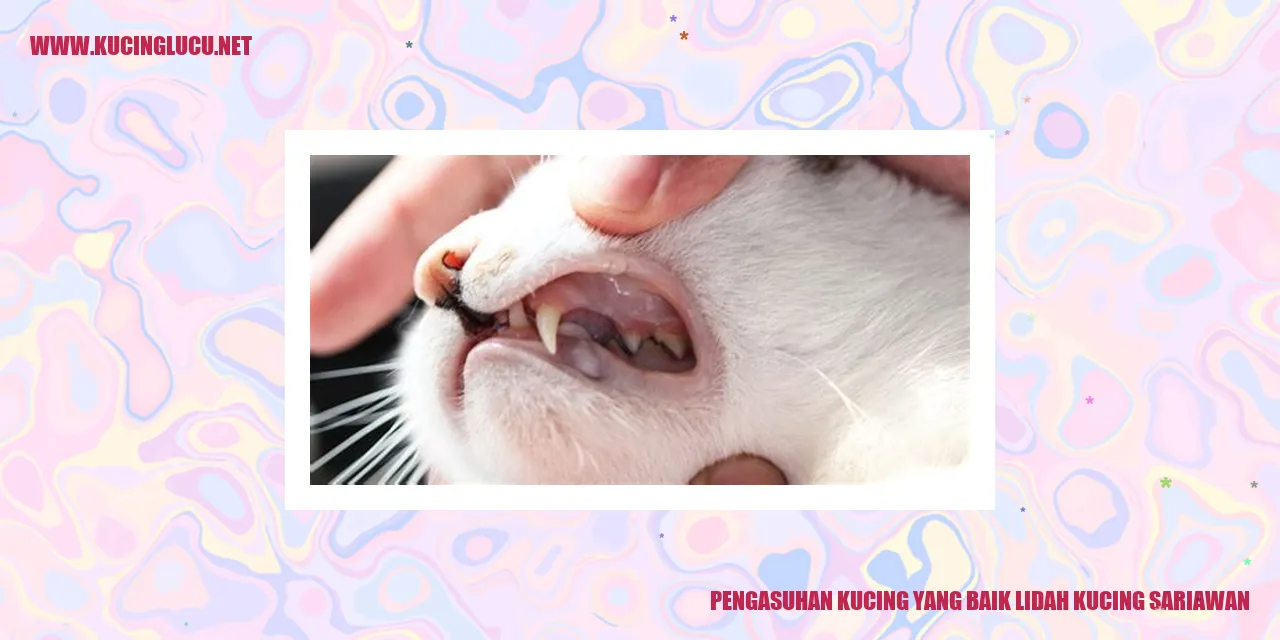 Gambar kucing yang sehat