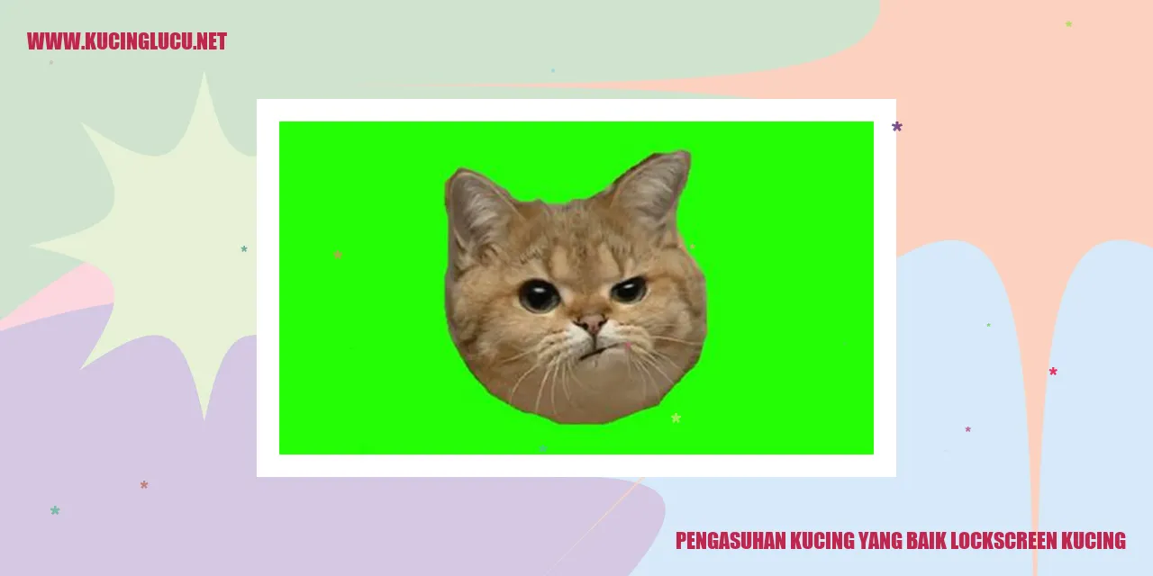 Gambar Kucing