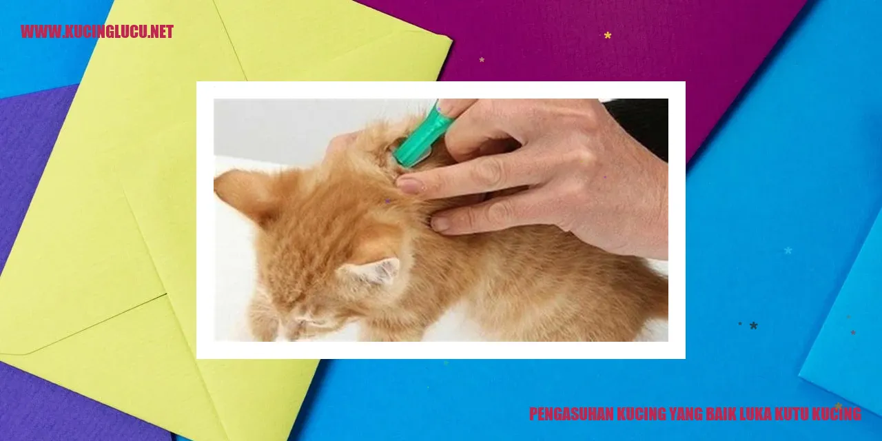 Gambar kucing yang terkena kutu