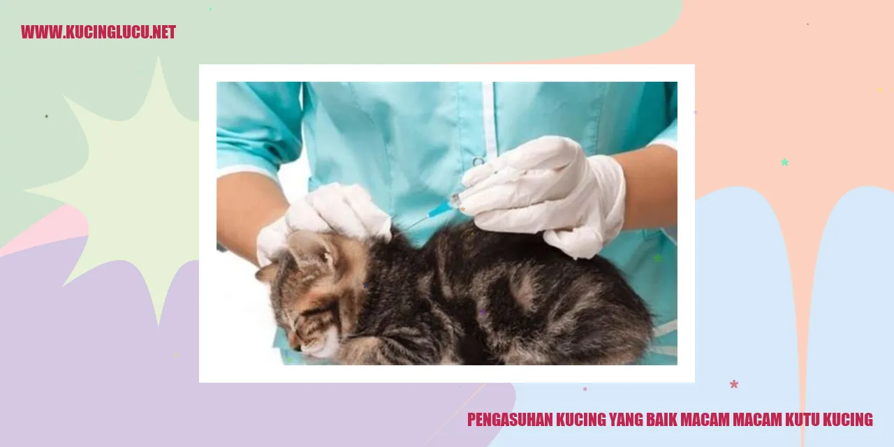 Gambar Kucing