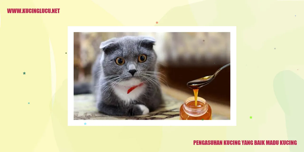 gambar kucing yang sehat dan bahagia