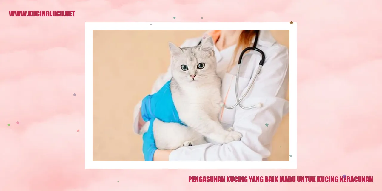 Gambar Kucing