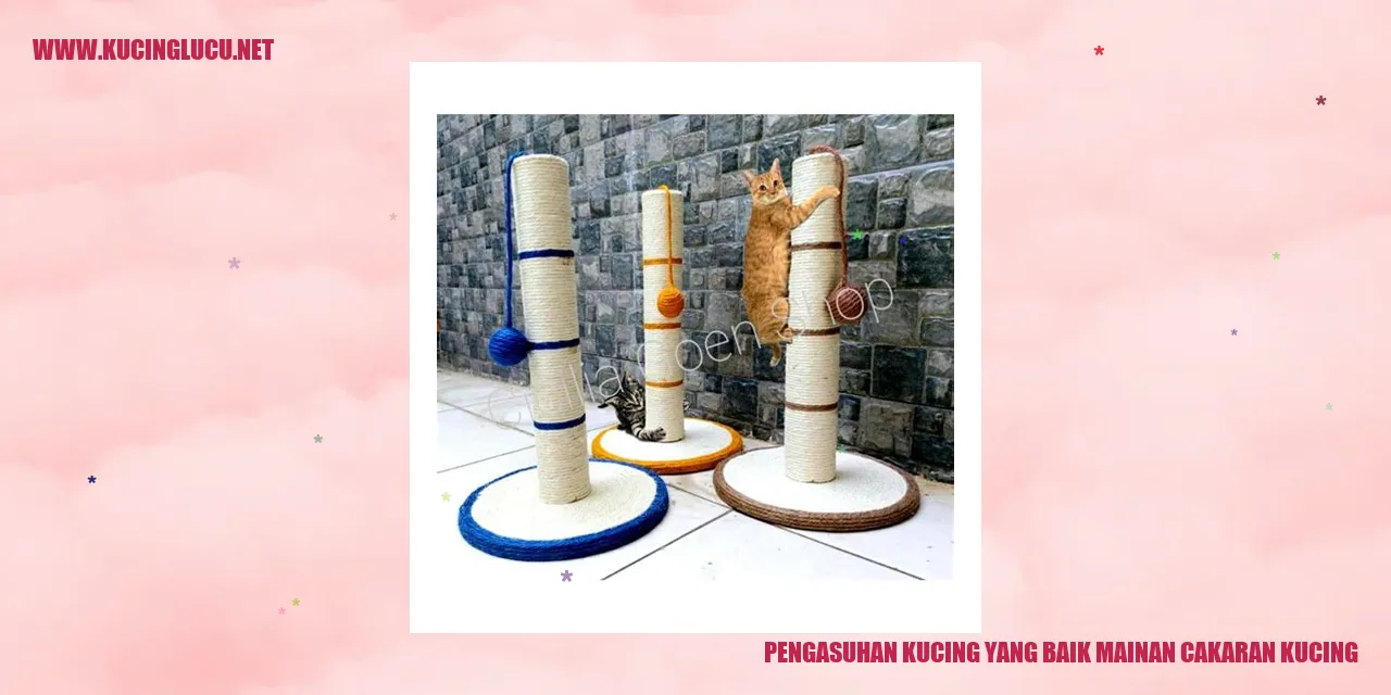 Gambar mainan cakaran kucing, sumber: Bing