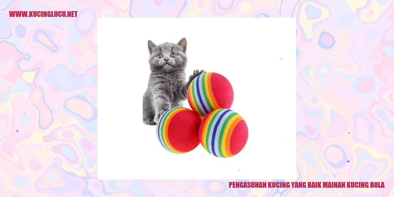 kucing bermain bola