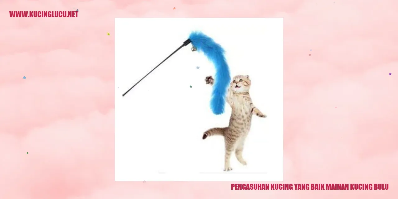 Mainan Kucing Bulu