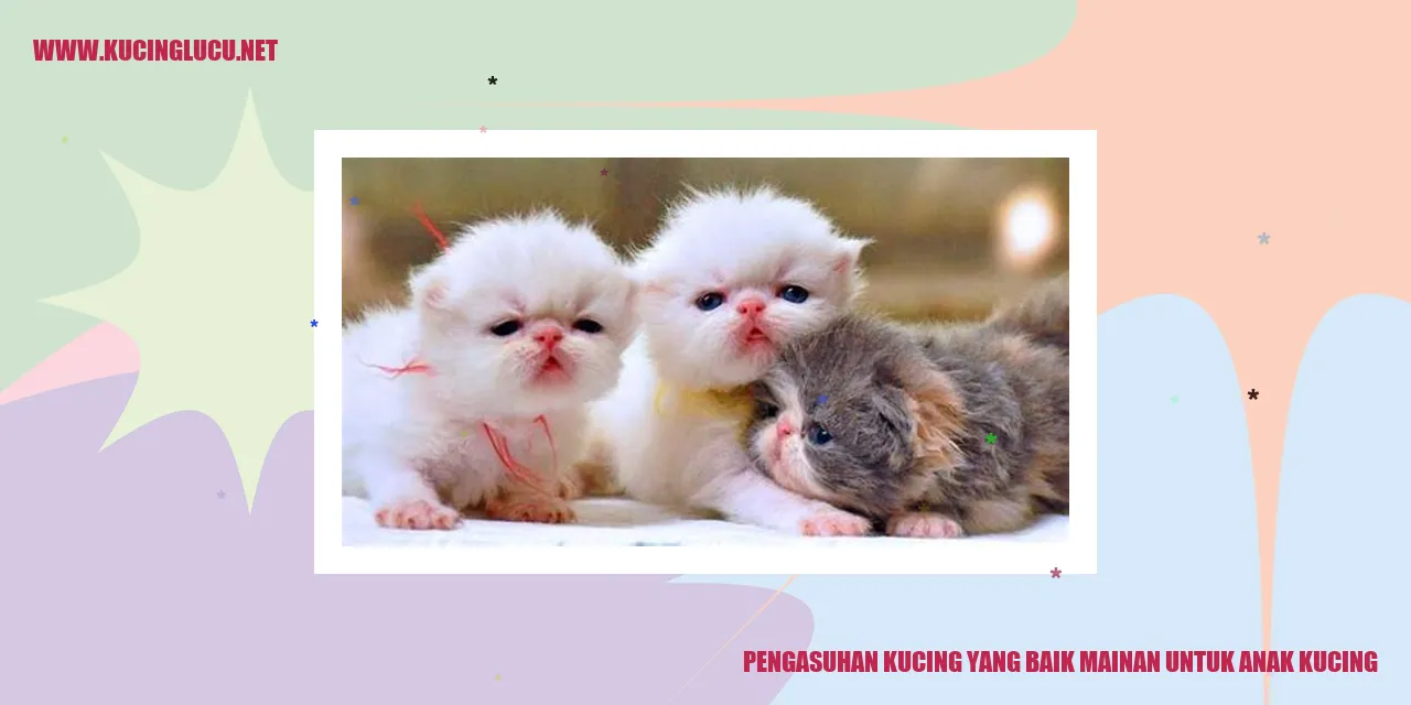 Kucing Bermain