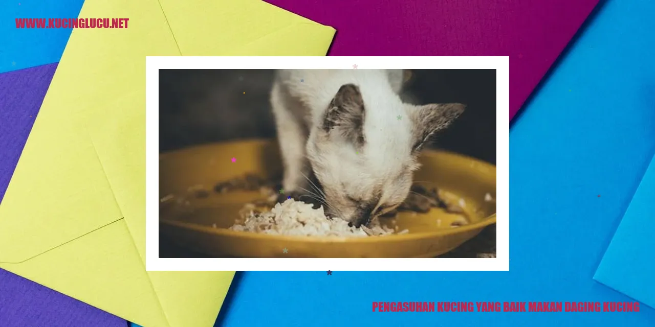 Gambar Kucing