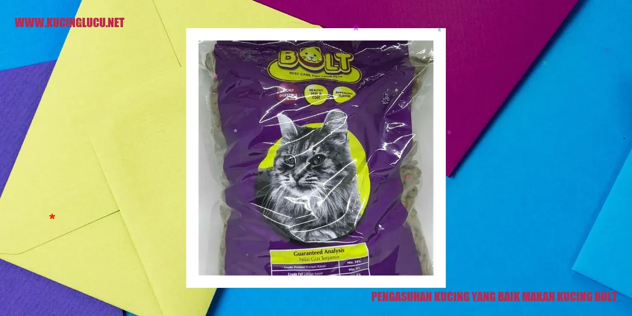 Pengasuhan Kucing yang Baik
