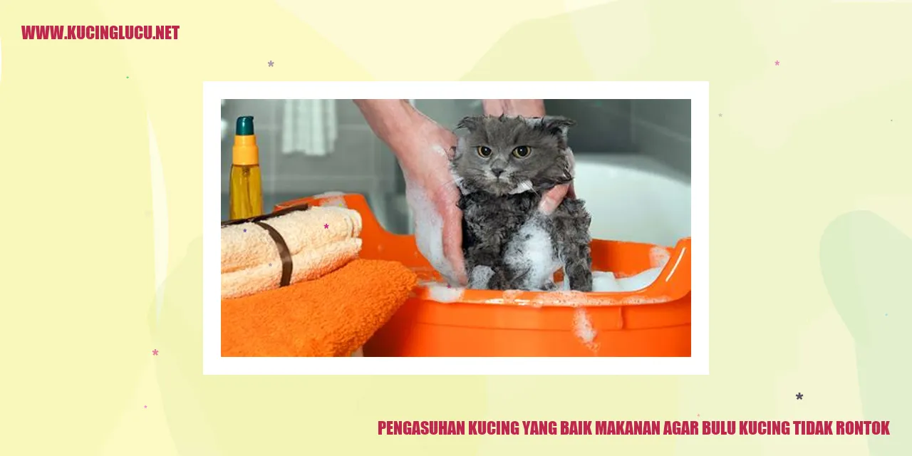 Pengasuhan Kucing yang Baik