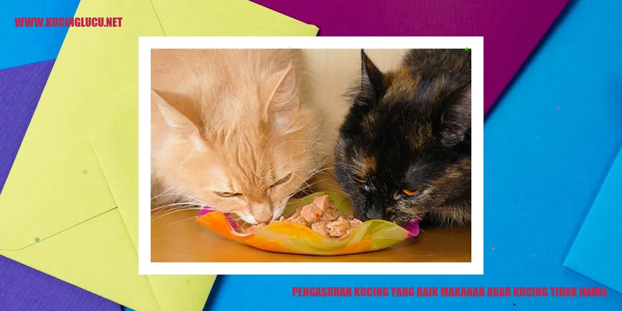 Gambar kucing yang sehat