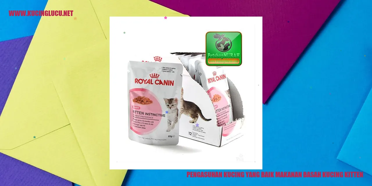 Gambar Kucing Kitten Menikmati Makanan Basah