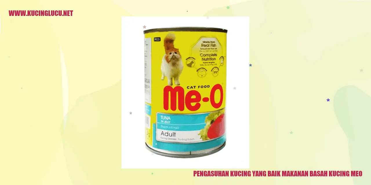 kucing sedang makan makanan basah