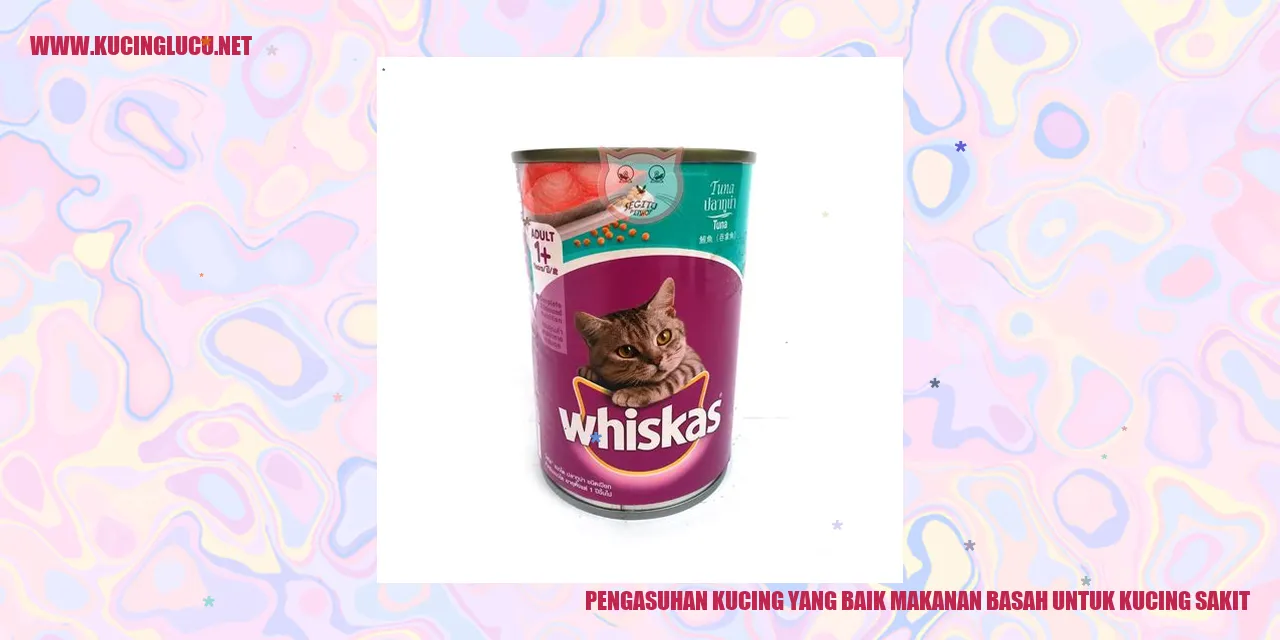 Gambar Kucing Sehat