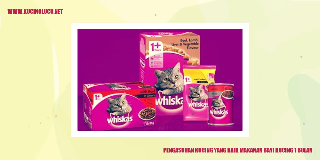 gambar kucing makanan bayi kucing